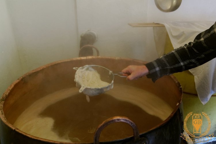 Formation of Wort Hot Break